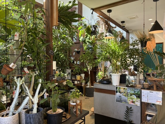 LaccaCafe 郡山店 - 安積永盛（カフェ）の写真