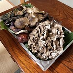 よし町 - 天然きのこ！！