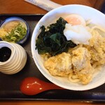 さぬきうどんのたぬき - 