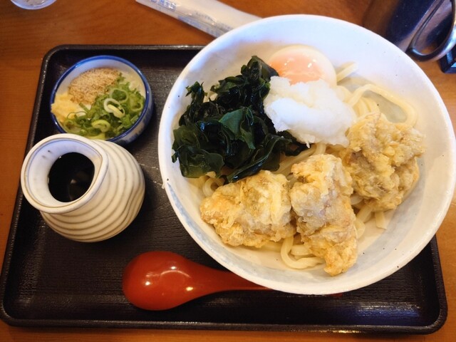Sanuki Udon no Tanuki