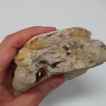 ダーシェンカ - 秋のプチダーシェンカ