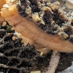 近江牛ホルモン いるもん - 