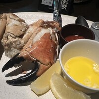 COLONIAL BEACH 横浜ハンマーヘッド - 