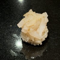 鮨と天草大王 天音 - 