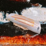 梅田 すし継 - 小肌①