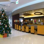 スターバックス・コーヒー - 2014年11月、お店の前にはクリスマスツリーがありました。