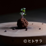 Ristorante Narvalo - 季節の食材を使ったシェフのおすすめコース