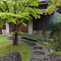 丸新 - 緑豊かですよね〜