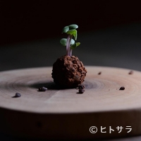 Ristorante Narvalo - 季節の食材を使ったシェフのおすすめコース