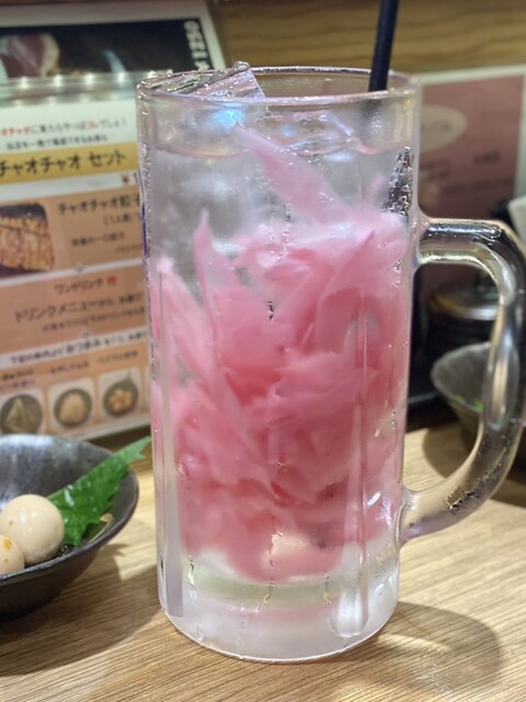 Naniwa Hitokuchi Gyoza Chaochao Umeda Honten photo 5