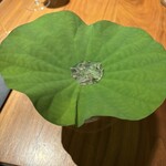 ル スプートニク - 