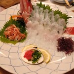 魚将　さかなちゃん - アコウ