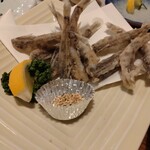 魚将　さかなちゃん - メヒカリ唐揚げ