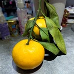 ほびーい喫茶店 - 完熟中(笑)