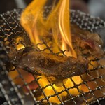 炭火焼ホルモン ぐう - 