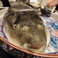 法善寺 浅草 - てっちり 鍋の撮り忘れたが河豚の撮影会 法善寺 浅草 - てっちり 鍋の撮り忘れたが河豚の撮影会