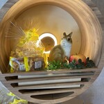 APPLE PIE lab Karuizawa Ten - 