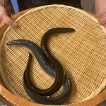 入谷鬼子母神門前のだや - 