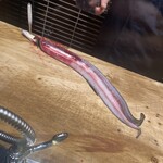 入谷鬼子母神門前のだや - 