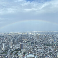 サンシャイン クルーズ・クルーズ - 