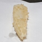 てんぷら 千の種 - 