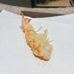 てんぷら 千の種 - 