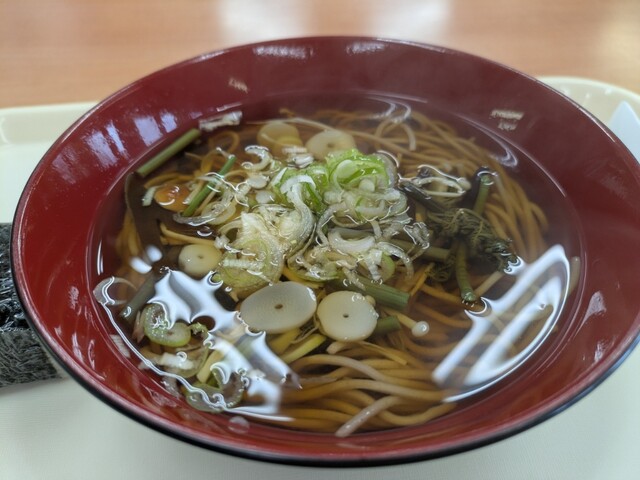 春ママ食堂 - 盛岡（麺類）の写真