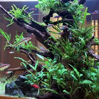 お料理なかき - 