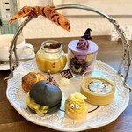 カーム ガーデン - 