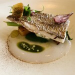 センプレ - 太刀魚