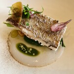 センプレ - 太刀魚