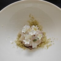 クイントカント - 