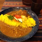 Spices Curry Synergy - 