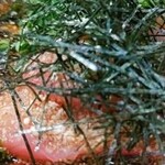 サカナのハチベエ - 