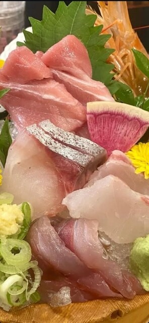 Sakana no Hachibee Yabacho Ten