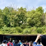 珈琲専門店 風見鶏 - 