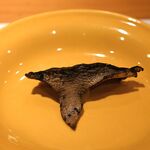 柳家錦 - 黒皮茸