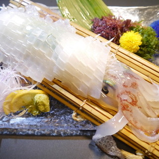 鮮魚卸売市場から直送の新鮮な魚貝♪