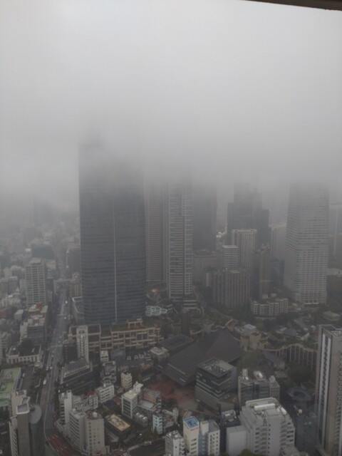 Cafe La Tour photo 3