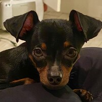 ジャッジョーロ銀座 - 