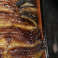 うなぎ割烹 大江戸 - さつき（二本いかだ）