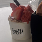 GARIGUETTE - 