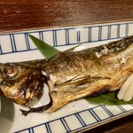 宵ノねこ - 真鯵の開き(対馬産)半身