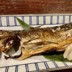 宵ノねこ - 真鯵の開き(対馬産)半身