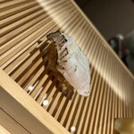 立川 すし なんば - 