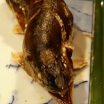 柳家 - 2014年11月