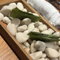 ル スプートニク - 