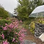 ティアツリー オーチャードカフェ - 