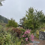 ティアツリー オーチャードカフェ - 