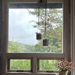 ティアツリー オーチャードカフェ - 